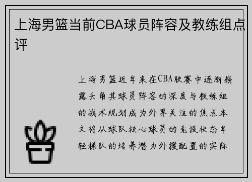 上海男篮当前CBA球员阵容及教练组点评
